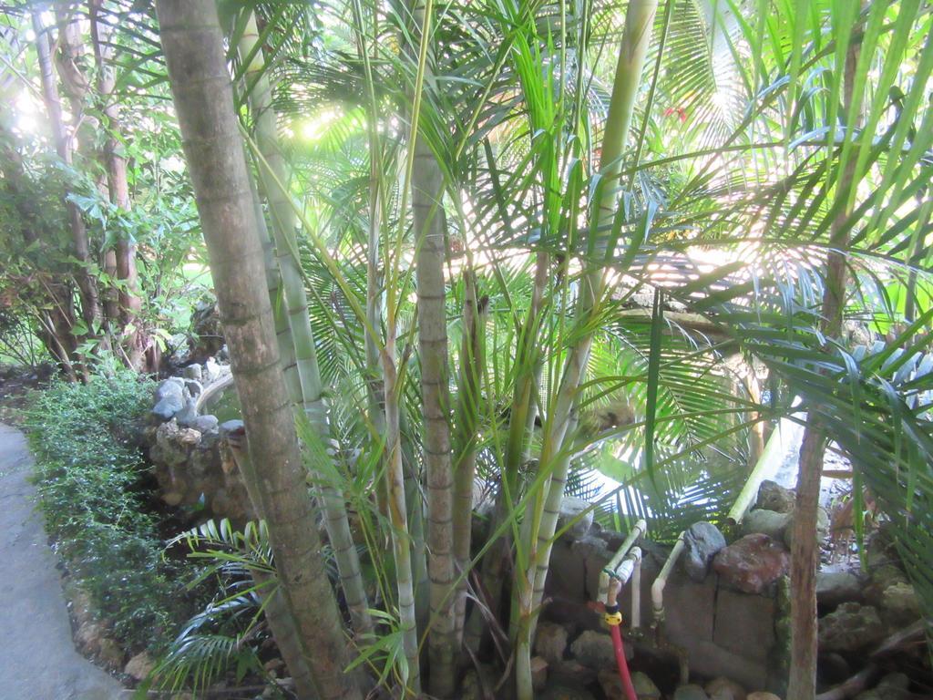 Hotel Cambri Nagua Exterior photo